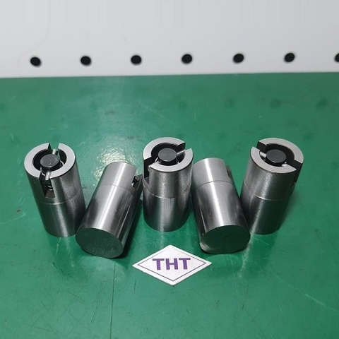 Nấm hơi, nấm khí AJVE
