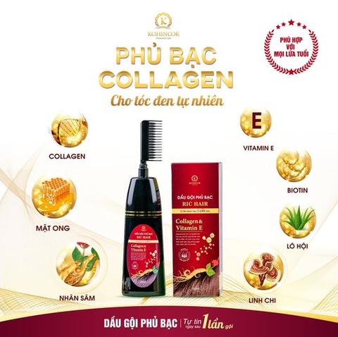 Dầu gội phủ bạc ric hair