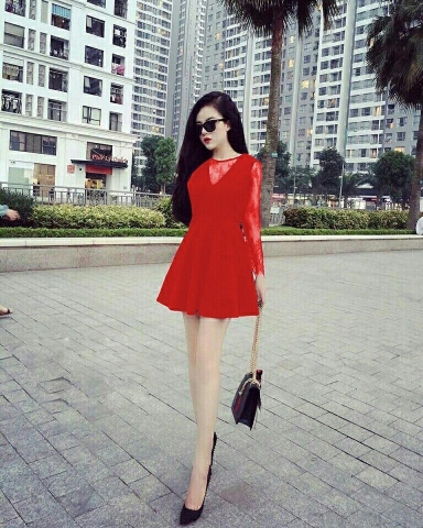 Đầm Xòe Tay Dài Phối Ren