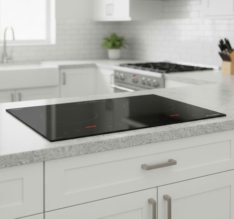Bếp từ đôi cao cấp NASUN NS-B440
