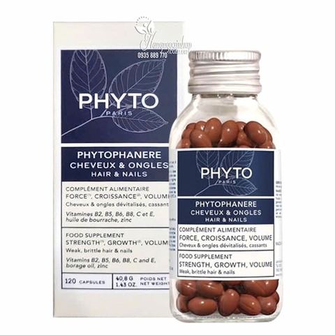Phyto