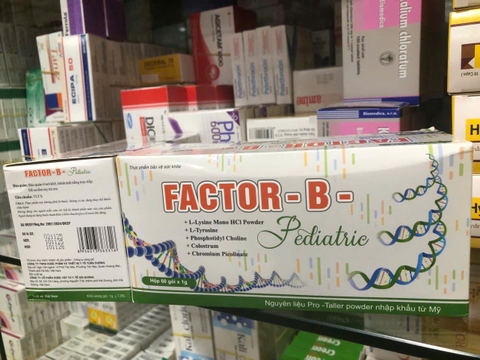 Factor B