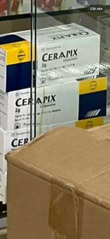 Ceraapix 2g