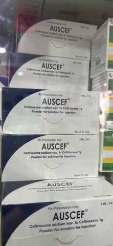 Auscef