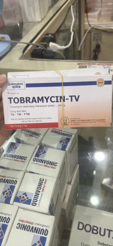 Tobramycin - TV 40mg/ml