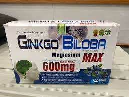 GINKGO BILOBA CERE BRAIN MAX 600