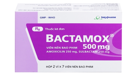 Bactamox 500mg