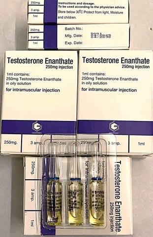 Testosteron Enanthale