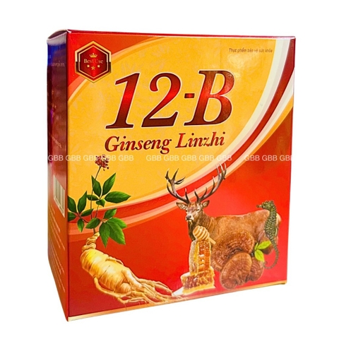 Vitamin 12B Ginseng Linhzhi Vinaphar