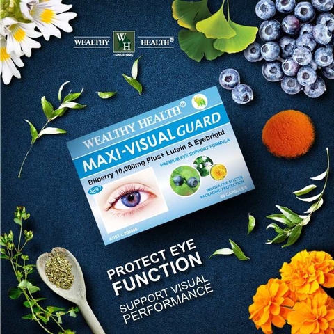 Maxi - Visual Guard