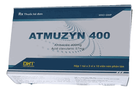 ATmuzyn 400