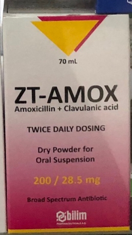 ZT Amox