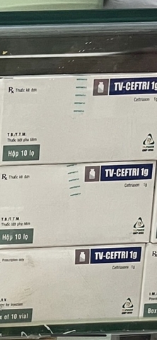 TV Ceftri 1g