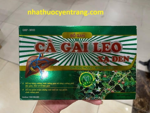 Cà gai leo xạ đen