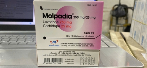 Molpadia 250/25mg