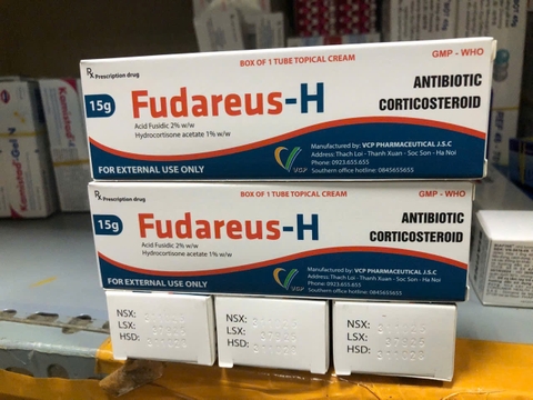 Fudareus-H