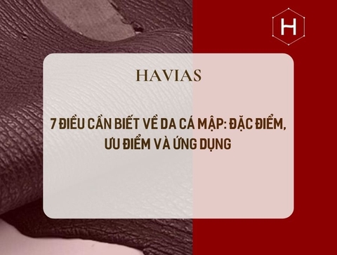 7 Điều Cần Biết Về Da Cá Mập: Đặc Điểm, Ưu Điểm Và Ứng Dụng