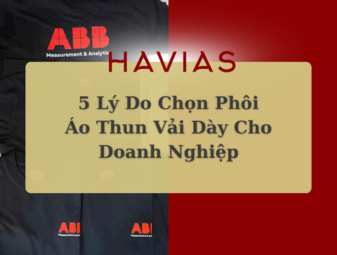 5 Lý Do Chọn Phôi Áo Thun Vải Dày Cho Doanh Nghiệp