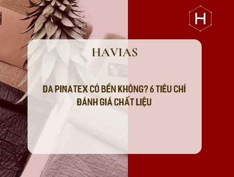 Da Piñatex Có Bền Không? 6 Tiêu Chí Đánh Giá Chất Liệu