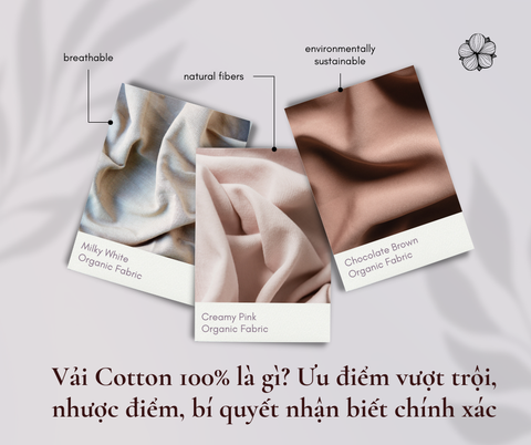 Vải Cotton 100% là gì? Ưu điểm vượt trội, nhược điểm & bí quyết nhận biết chính xác