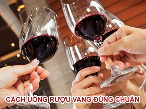 Học cách uống rượu vang ĐÚNG cách CHUẨN doanh nhân.