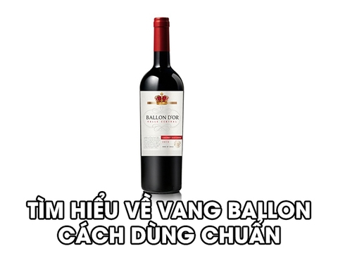Rượu vang Ballon là gì? Cách uống rượu đúng chuẩn nhất