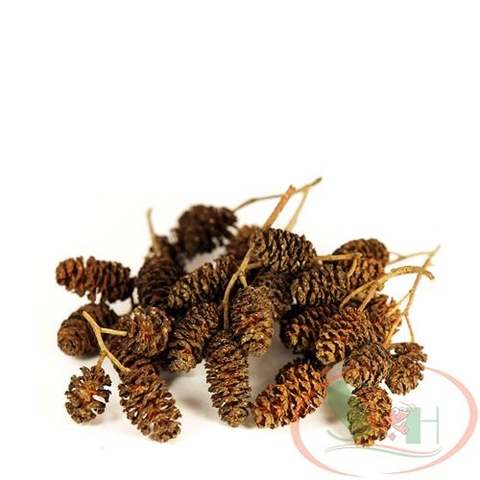 Trái thông Alder Cones (Erlenzapfen Cone) quả khô bổ sung fulvic humic nước đen tự nhiên bể cá tép cảnh