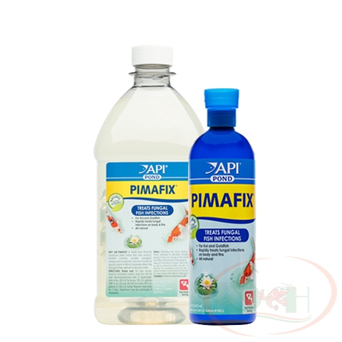 Dung dịch API Pond Pimafix diệt xử lý ức chế nấm đốm trắng bể cá tép thủy sinh