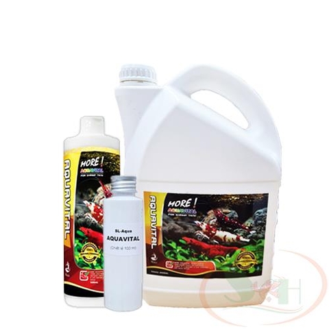 Vitamin dưỡng tép SL-Aqua Aquavital For Shrimp dinh dưỡng bổ sung vitamin bể tép tôm cảnh