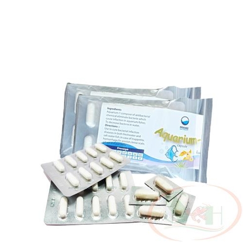 Thuốc trị cá tép chết lai rai Pranee Aquarium 1 kháng sinh diệt sát khuẩn nấm bể cá tép cảnh