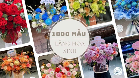 Shop Điện Hoa Tươi Hà Nội Giá Rẻ  Điện Hoa Hiện Đại