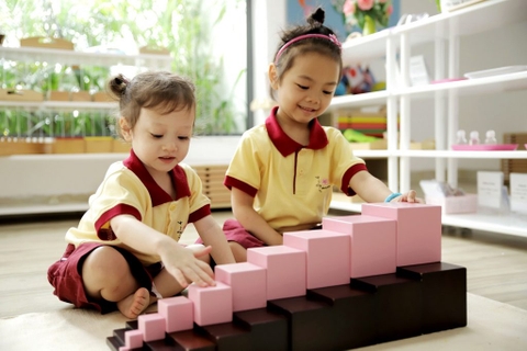 Hệ quốc tế Anh - Nhật