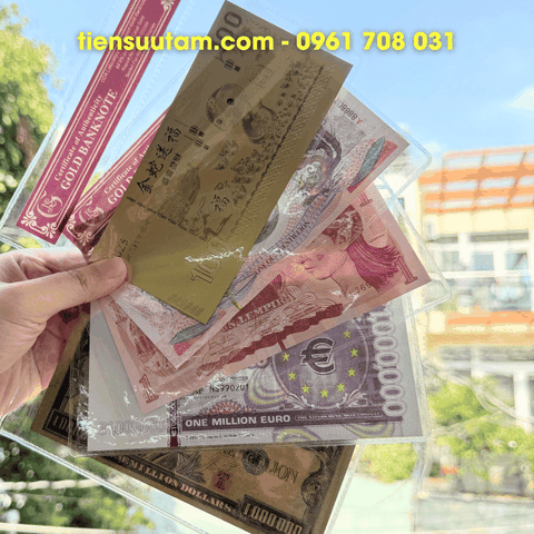 Chứng nhận bọc tiền mạ vàng bằng nhựa