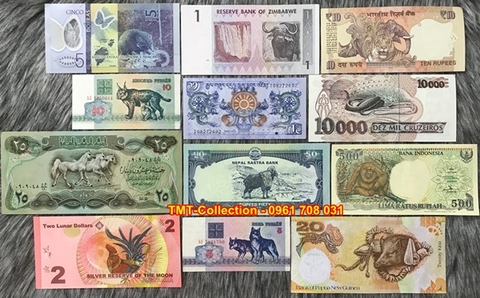 Bộ Tiền 12 Con Giáp Thật