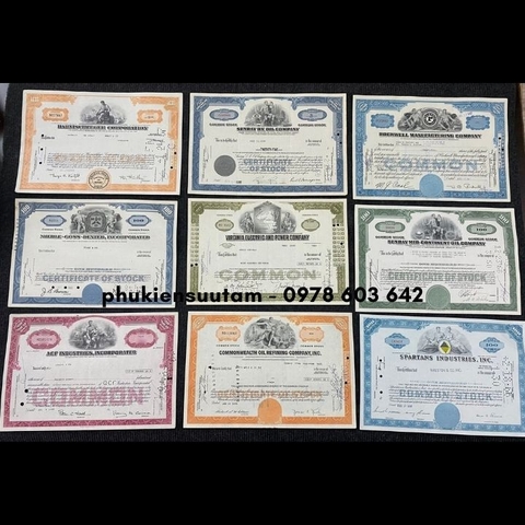 Certificate of Stock - Chứng Nhận Cổ Phiếu Của Công Ty Mỹ