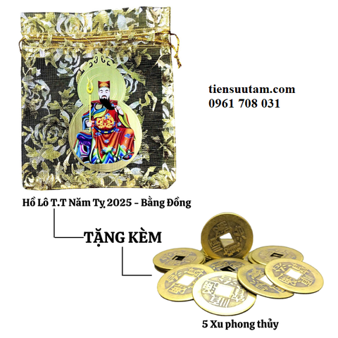 Túi Kim Bài Thái Tuế 2025 Tuổi Dần, Thân, Tỵ, Hợi Và 5 Xu Phong Thuỷ