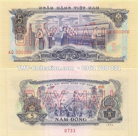 5 ĐỒNG 1966 Giấy Mẫu