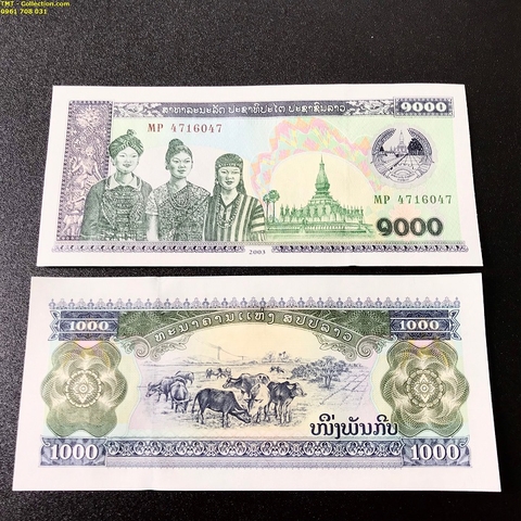 Tiền Con Trâu Lào