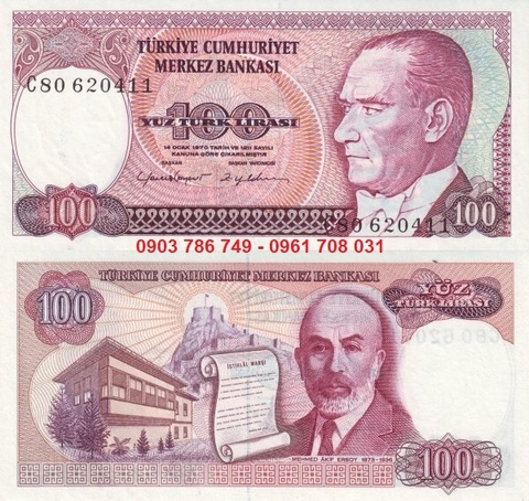 Turkey - Thổ Nhĩ Kỳ 100 Lira 1983-1984 UNC
