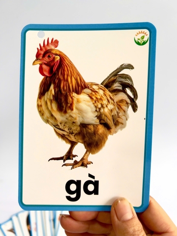 Flashcard 30 Từ vựng đầu đời của bé A6 CÁN BÓNG