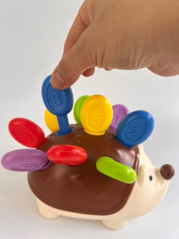 Cắm nhím sắc màu