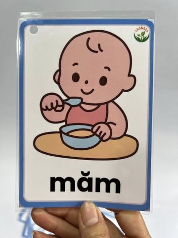 30 Từ vựng đầu tiên