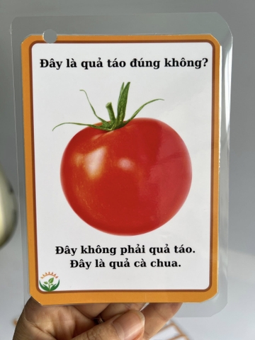Câu hỏi phủ định (mẫu 2)