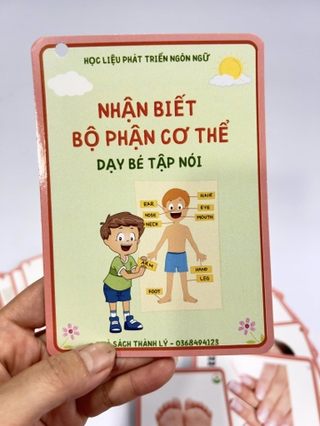 Flashcard bộ phận cơ thể