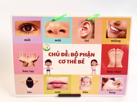 100 từ vựng đầu đời