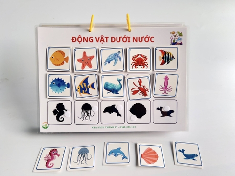 Học liệu Tìm hình với bóng (bóc dán)