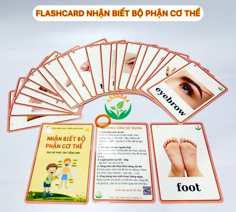 Flashcard bộ phận cơ thể (Tiếng Anh)