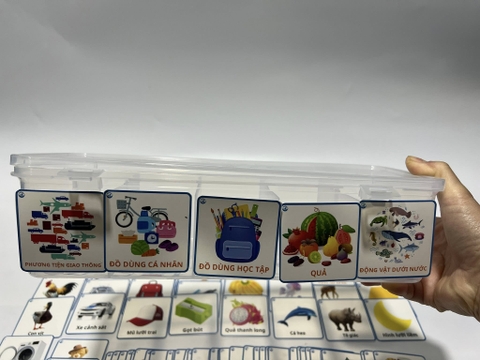 Học liệu phân loại thẻ theo chủ đề (có nắp)