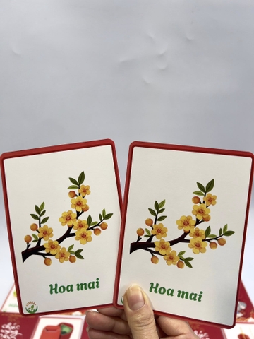 Tìm hình giống nhau (chủ đề Tết)