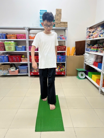 Thảm gai hoa cúc (mẫu nhỏ 1m x 30cm)